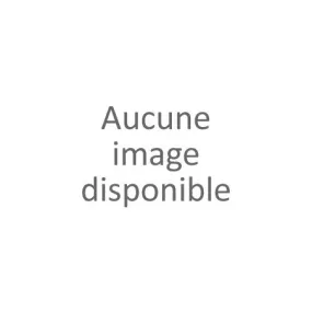 Baskets basses noires femme (36-42)